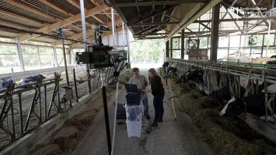 Forscher mit Überwachungskamera und Laptop in einem Kuhstall