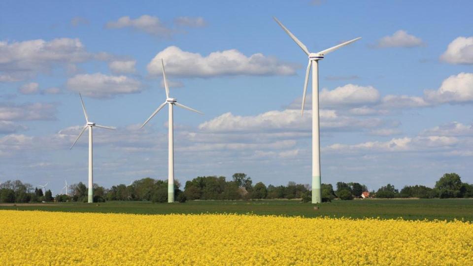 Windräder im Vordergrund gelbes Rapsfeld