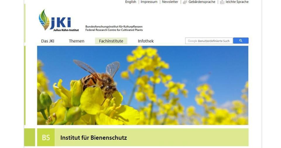 Screnshot der Webseite des Institut für Bienenschutz des JKI